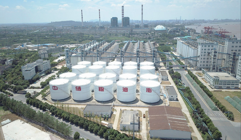 中儲(chǔ)糧鎮(zhèn)江糧油公司增建油罐總承包工程   中國(guó)安裝工程優(yōu)質(zhì)獎(jiǎng)“中國(guó)安裝之星”